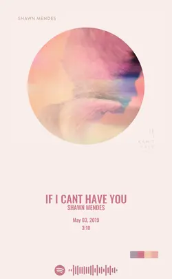 Shawn Mendes - If I Cant Have You.jpg